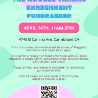 Maggie Varano Enrichment Fundraiser