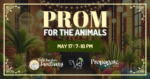 Prom for the Animals