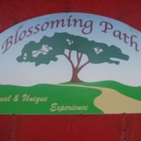 Blossoming Path