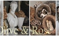 Gallery 1 - The Olive and Rose