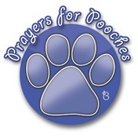 Gallery 1 - Prayers for Pooches