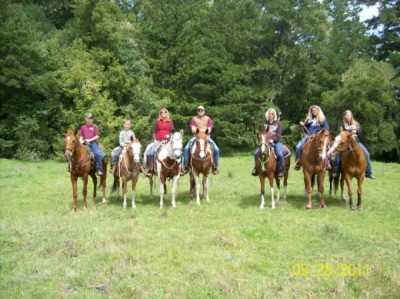 Sierra Foothills Horsemen's Association (SFHA)