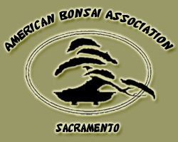 American Bonsai Association of Sacramento