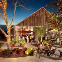 Gallery 1 - Miner's Leap Winery