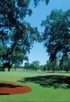 Gallery 1 - Haggin Oaks Golf Complex