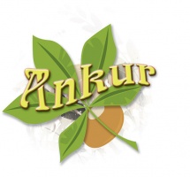 Ankur Inc.
