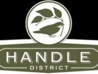 The Handle District