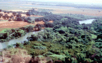 Cosumnes River Preserve