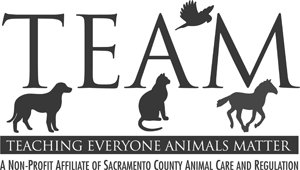 TEAM (Teaching Everyone Animals Matter)