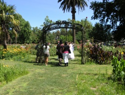 McKinley Park Rose Garden
