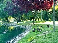McKinley Park